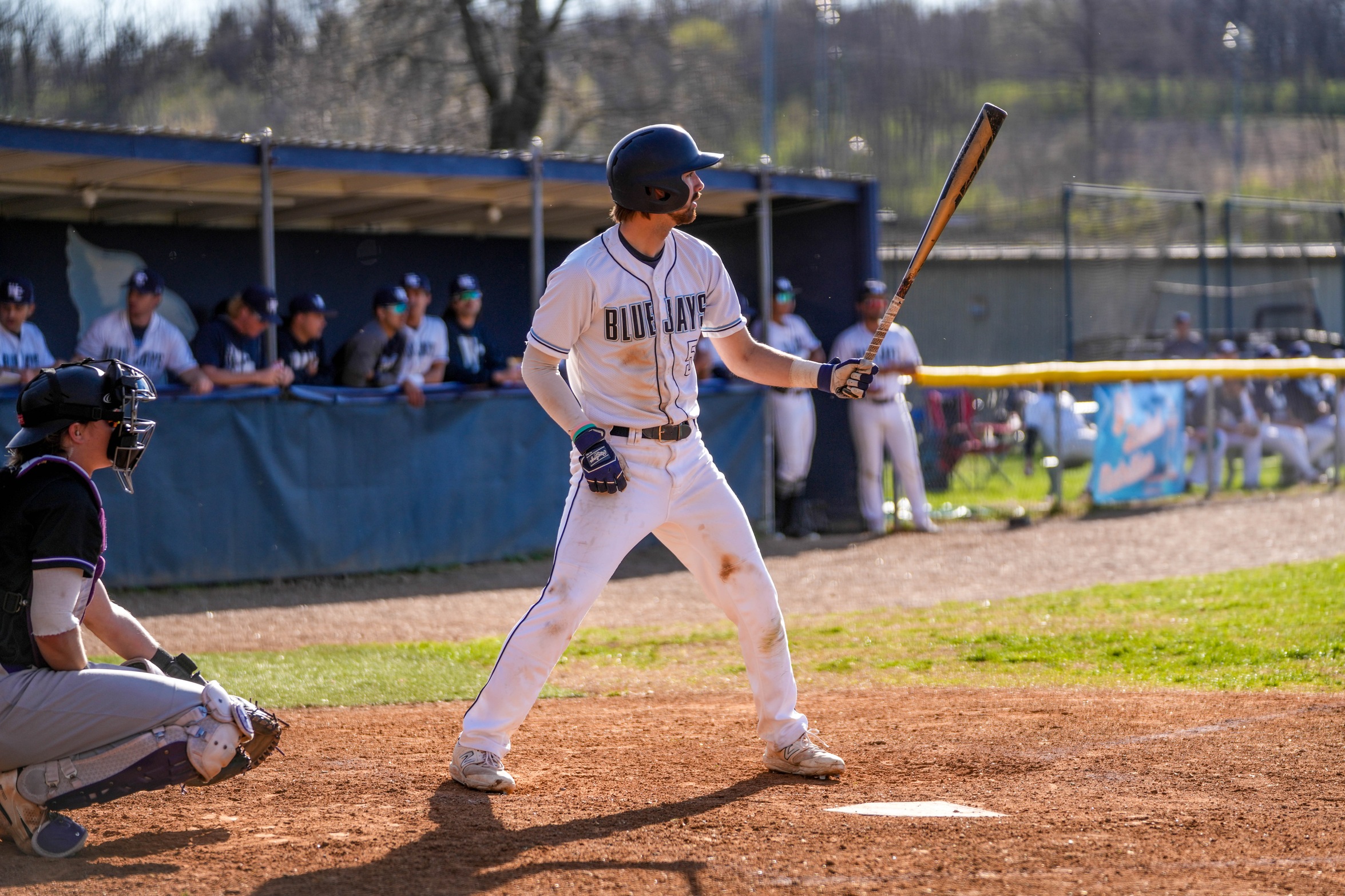 Blue Jays Win Final Game Of Series Against Prairie Wolves  