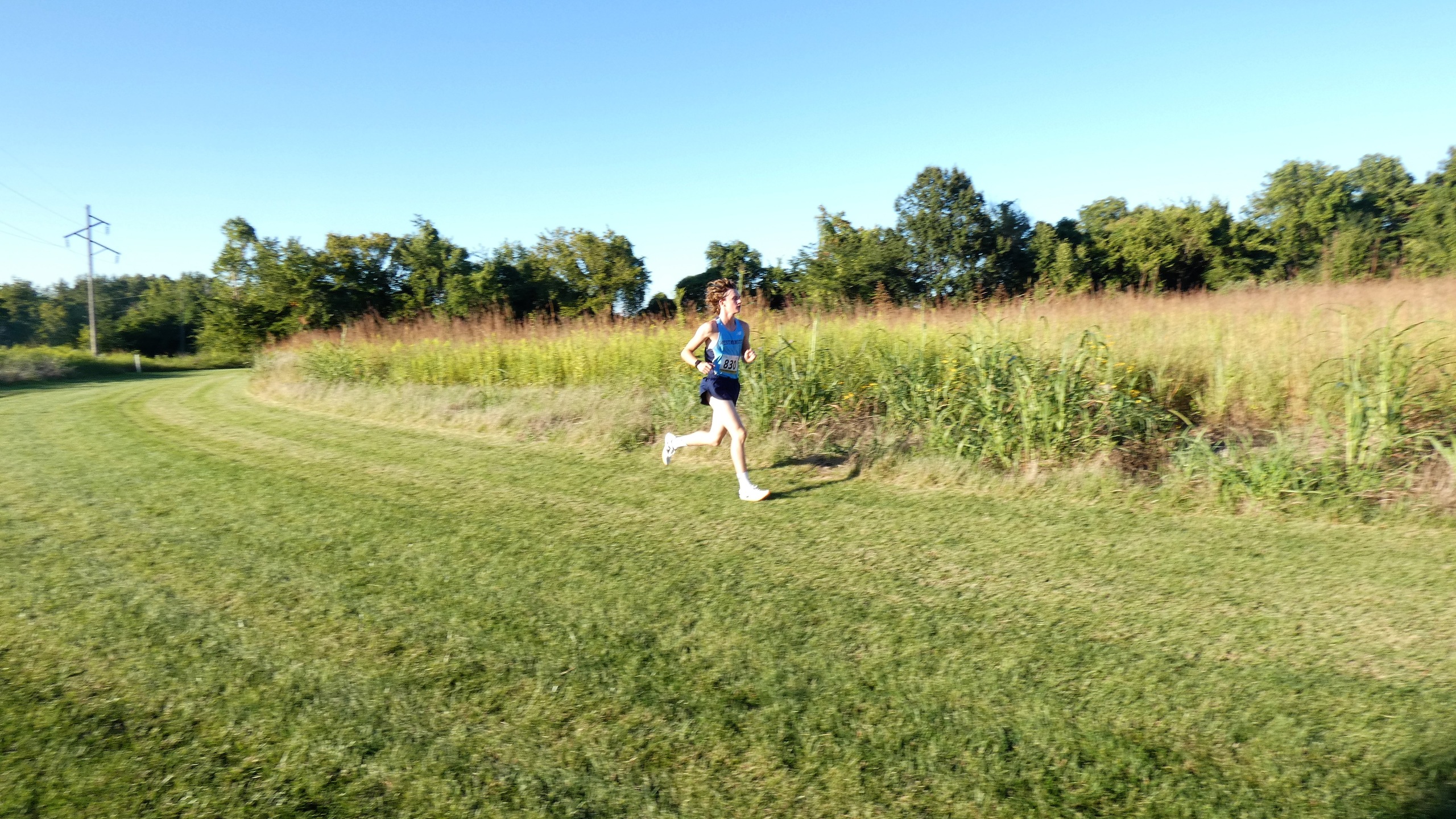 Blue Jays Run In Larry Young Invitational  