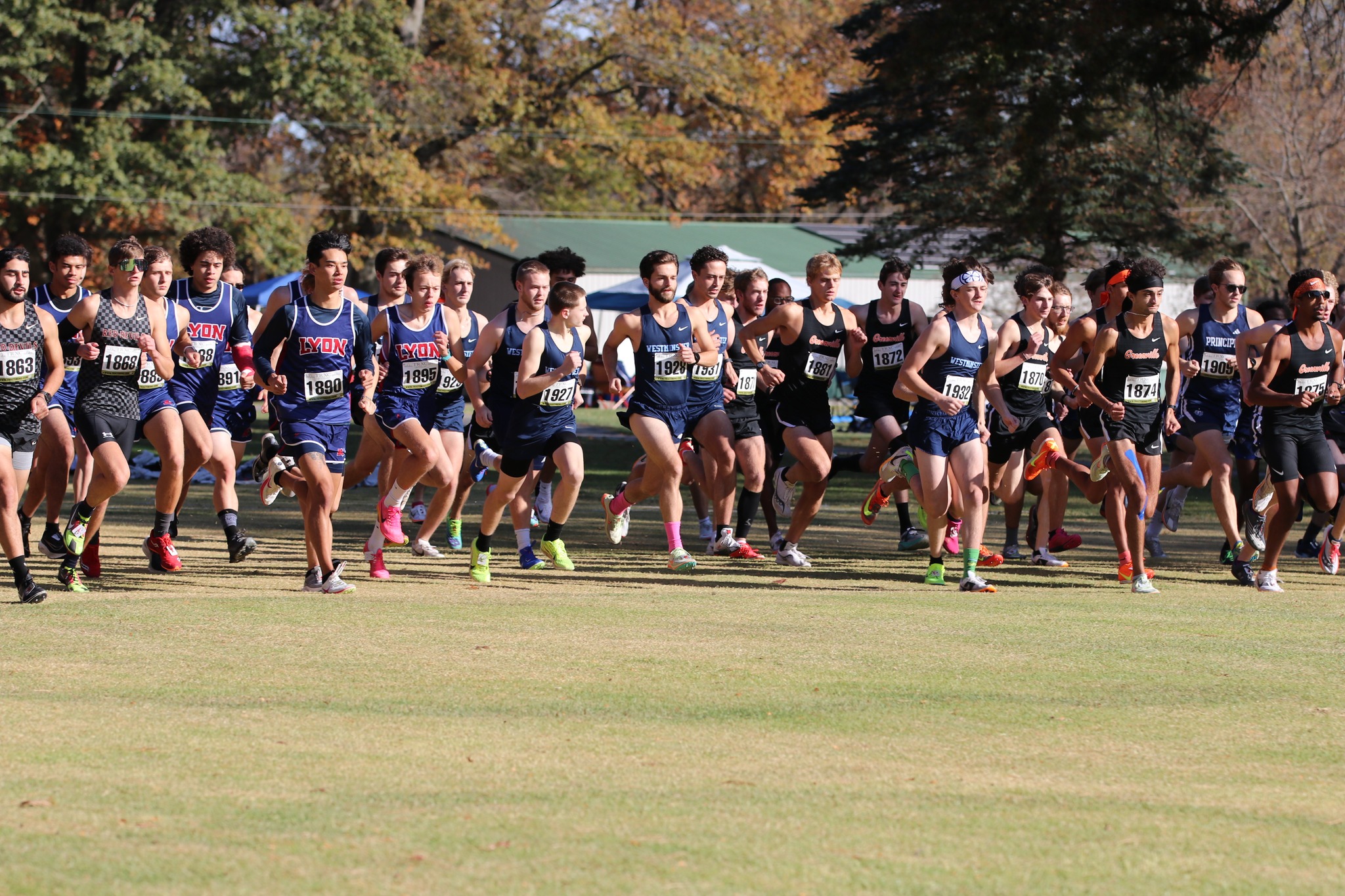 Blue Jays Wrap Up Their Season At The SLIAC Cross-Country Championships