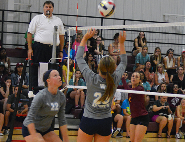 Volleyball Picks Up Two More Wins at Webster