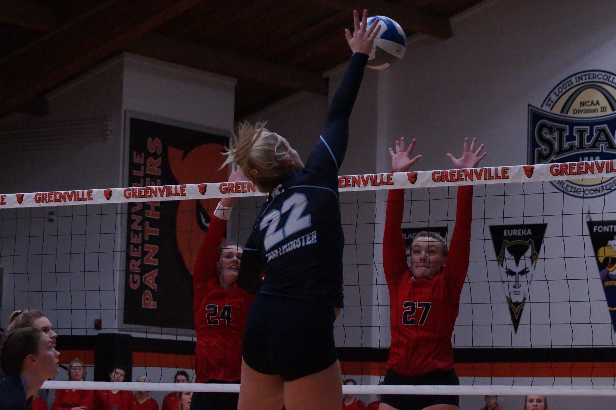 Women's Volleyball: Blue Jays Host Blackburn College Preview