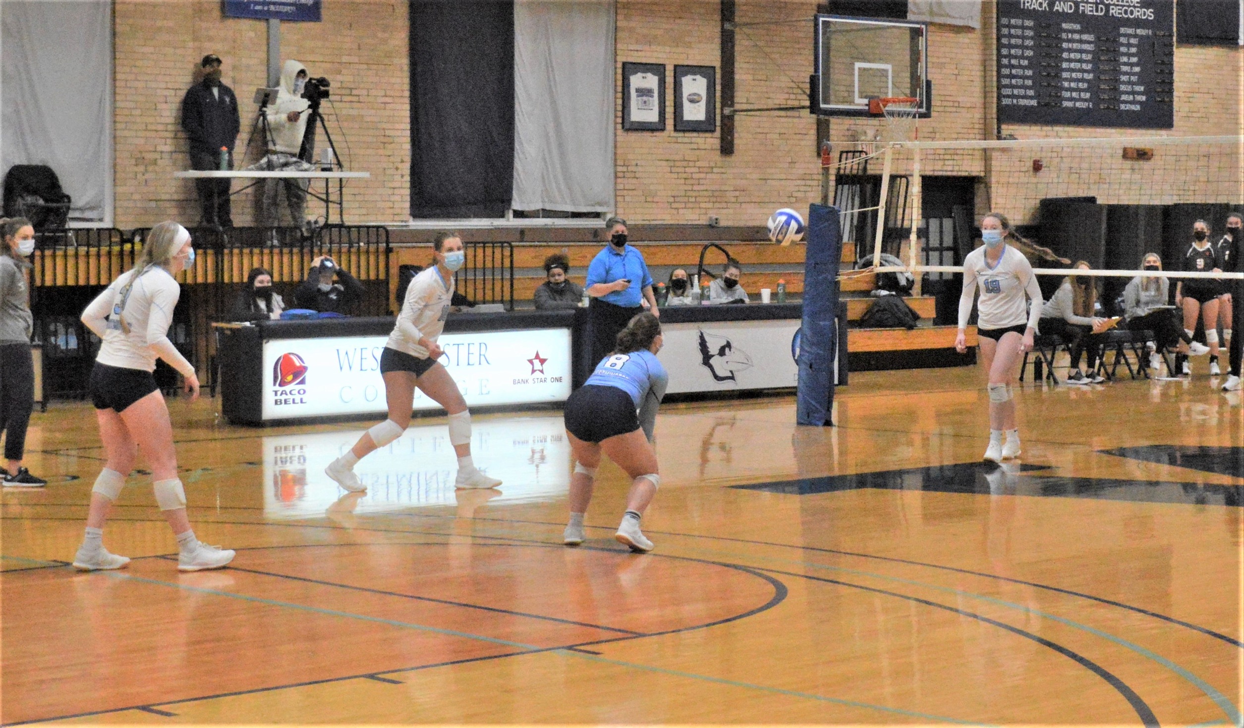 Women's Volleyball: #14 Blue Jays at #16 Greenville University Preview