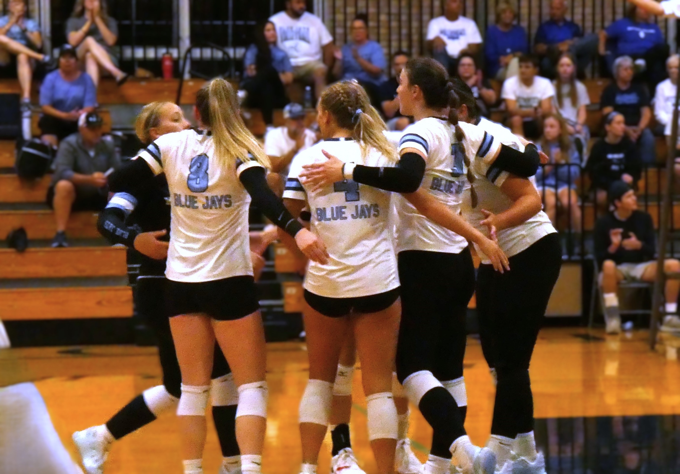 Westminster Volleyball Fights Hard, Falls 1-3 In Non-Conference Contest